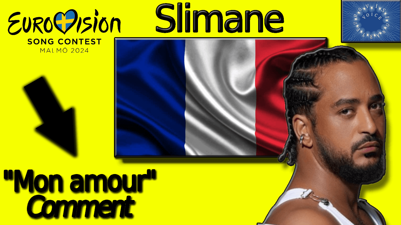 Slimane and the French flag in the background